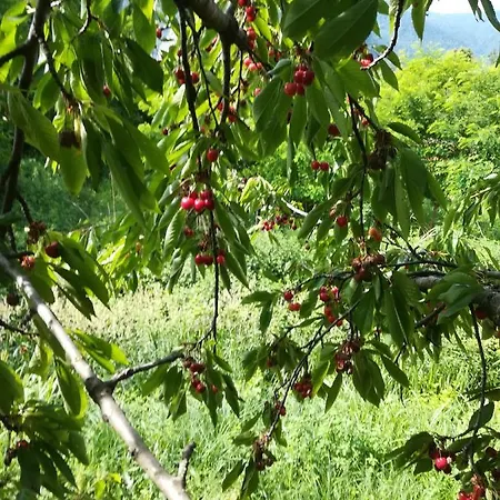 Adagio Penzion Caprie